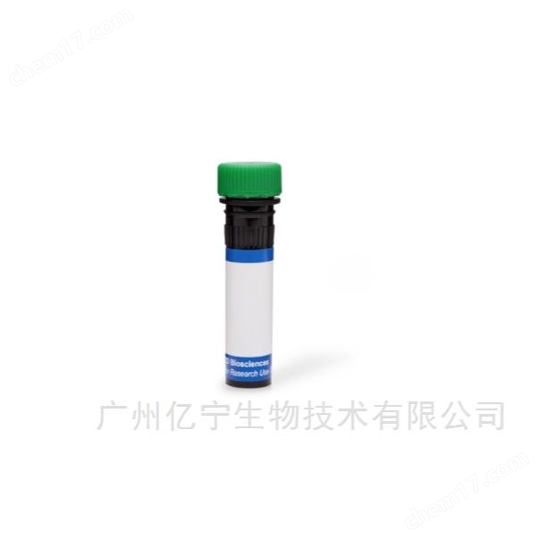 FITC Annexin V 抗體的特點