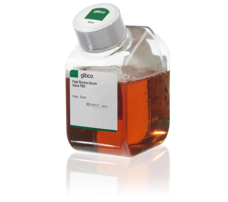 正規(guī)報關(guān)，Gibco巴西優(yōu)級胎牛血清（500ml）-僅需1750元