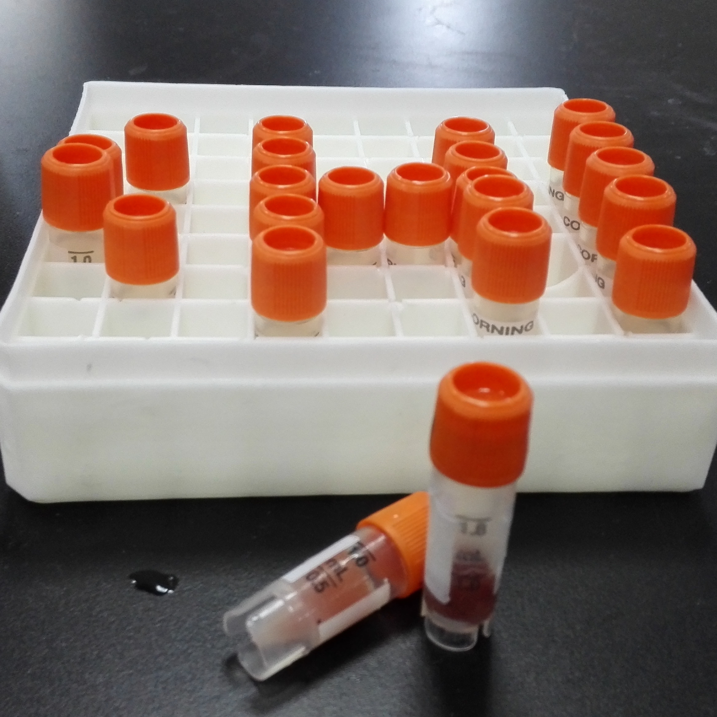 简述大鼠肝微粒体在使用过程中应注意的事项