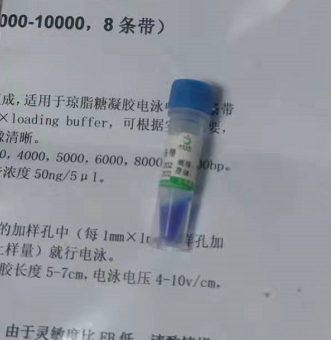 质粒保存——如何避免降解