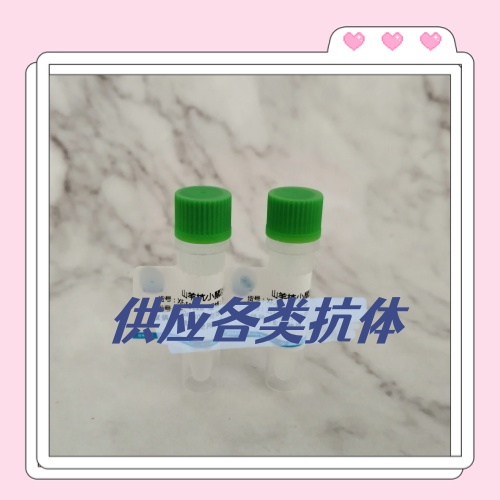 小鼠抗牛血清白蛋白特异性好吗？