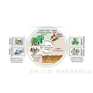 DJ-6319A森林碳汇监测系统
