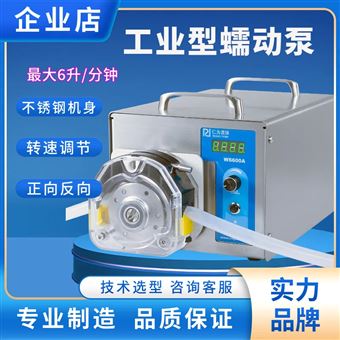 WT600/KZ25工业型蠕动泵