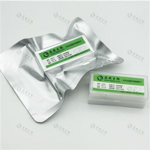 J12002上海晶安多聚赖氨酸包被12孔板细胞爬片