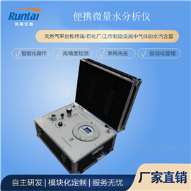 RL-E300Ex五氧化二磷微量水分析仪