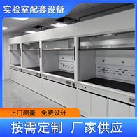 山东全钢通风柜厂家定制实验台pp排风橱供应