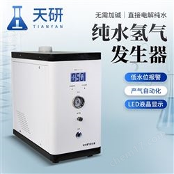 TY-SH-300氫氣發生器
