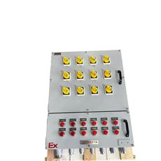 防爆照明动力复合配电箱 非标定制 支持OEM