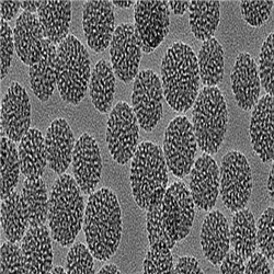 磁性介孔二氧化硅纳米颗粒50nm