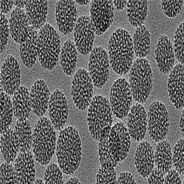 磁性介孔二氧化硅納米顆粒50nm