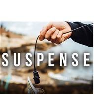 AS-1水听器-带 9 米电缆