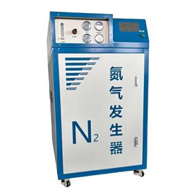 AYAN-30LB小型变压吸附氮气发生器 高纯度分子筛