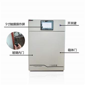 三氣培養箱 高低氧培養 高精度氣體控制