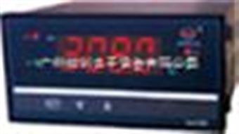 WP-C804-22-12-2H2L-PWP-C804-22-12-2H2L-P数显控制仪