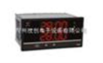 WP-D806-02-12-HLWP-D806-02-12-HL多路巡检仪