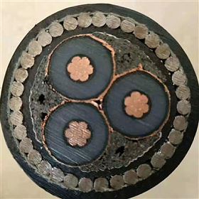 WD-MYJY43矿井铜芯粗钢丝铠装无卤低烟电缆