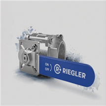 ¹Rieglerѹ637.50 C͸ʴ