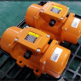 意大利Italvibras MVSS 3/200P-S02振动电机