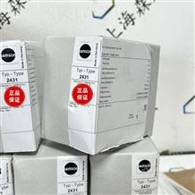 SAMSON薩姆森恒溫調(diào)節(jié)器2431 1070552