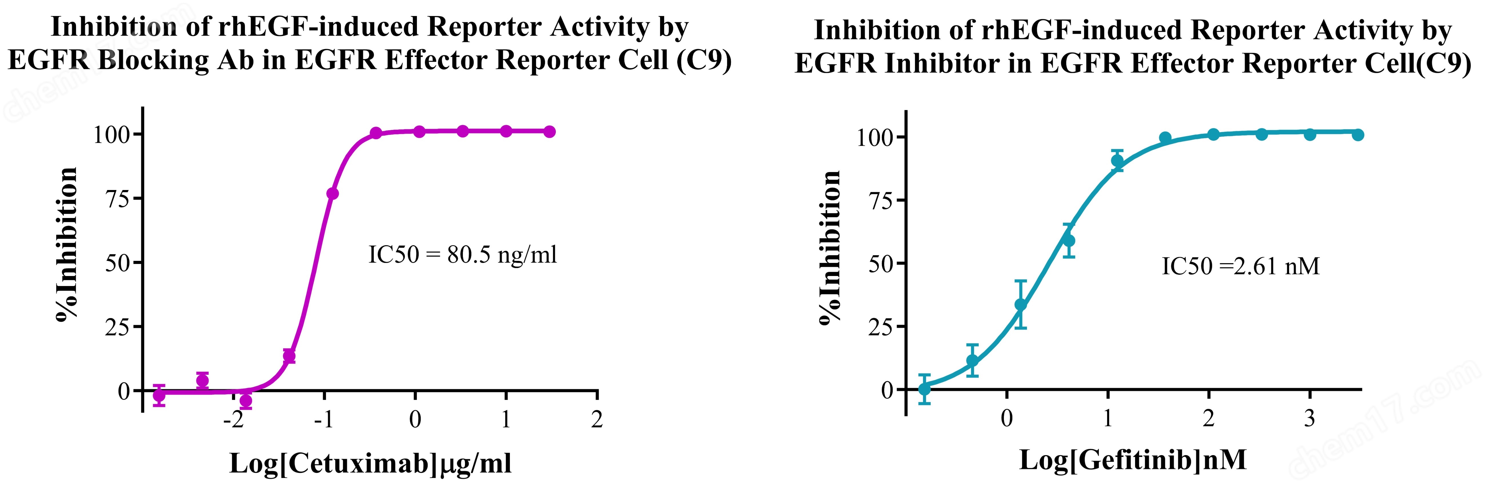 EGFR Effector Reporter Cell