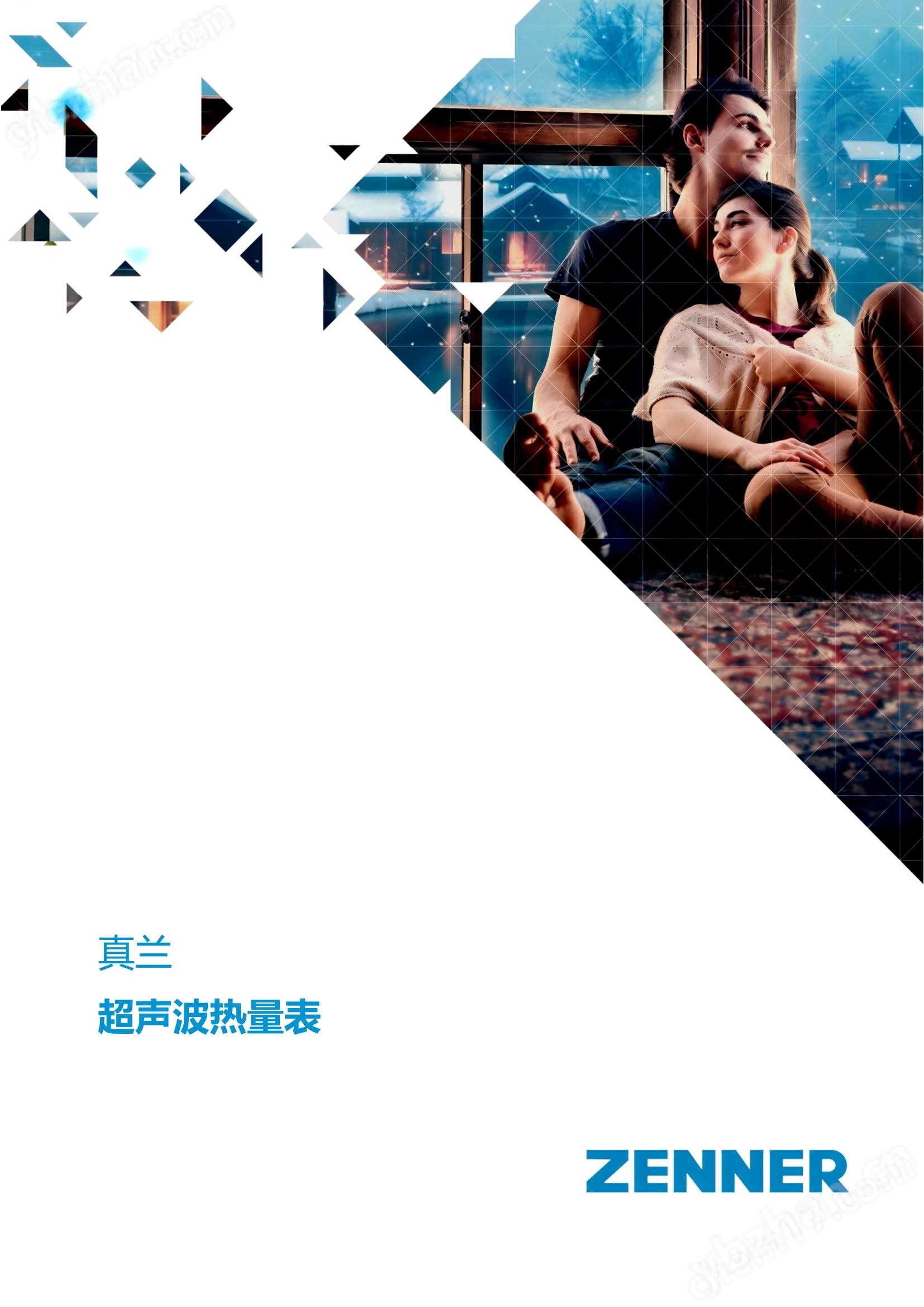 德國進口 真蘭大口徑超聲波流量計
