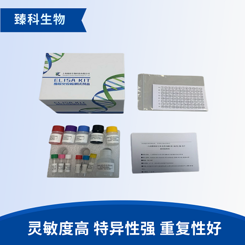 人6-羥多巴胺(6-OHDA）酶聯(lián)免疫試劑盒