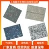人Burkkit淋巴瘤細胞Daudi（文獻引用產品）
