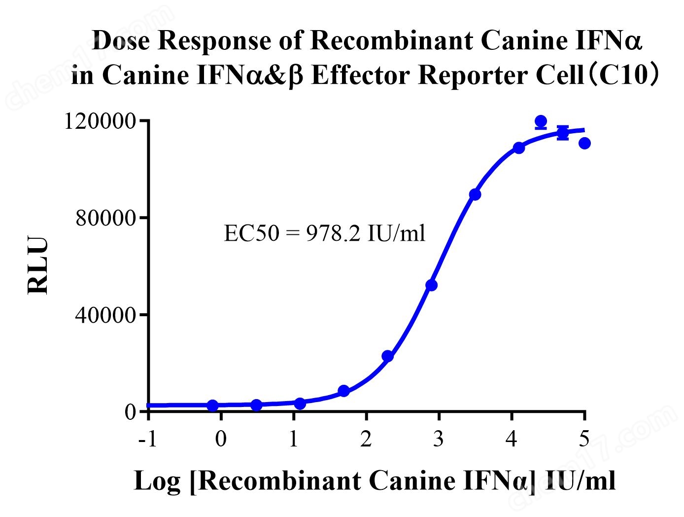 Canine IFNα&β Effector Reporter Cell