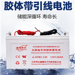 12V200ah太陽能膠體蓄電池6-GFMJ12V100AH