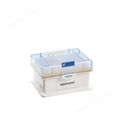 艾本德Eppendorf 移液器吸頭 生物純級(jí)吸頭