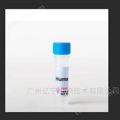 腫瘤壞死因子（TNF-α）