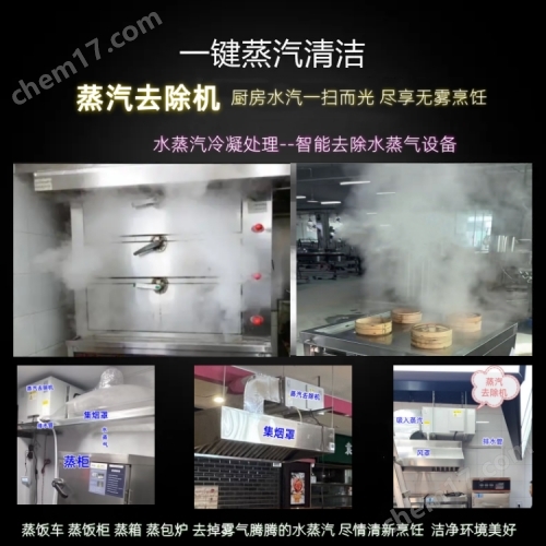 全自動升降 煮面爐蒸汽去除機
