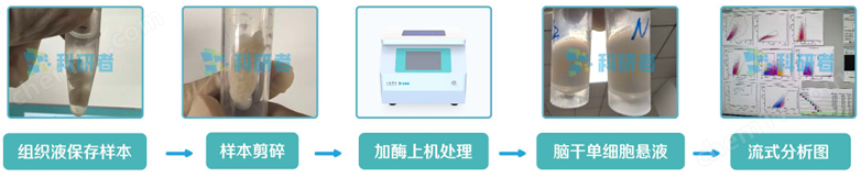 溫控型全自動(dòng)單細(xì)胞懸液制備儀