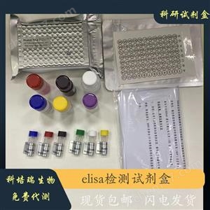 小鼠cAMP依賴性蛋白激酶α催化亞基(PRKACa)elisa試劑盒KPR-H22888