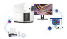 RIMA空間生物學解決方案