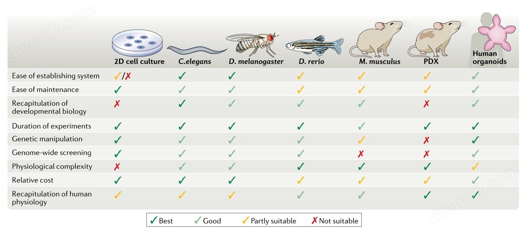 類器官芯片培養系統
