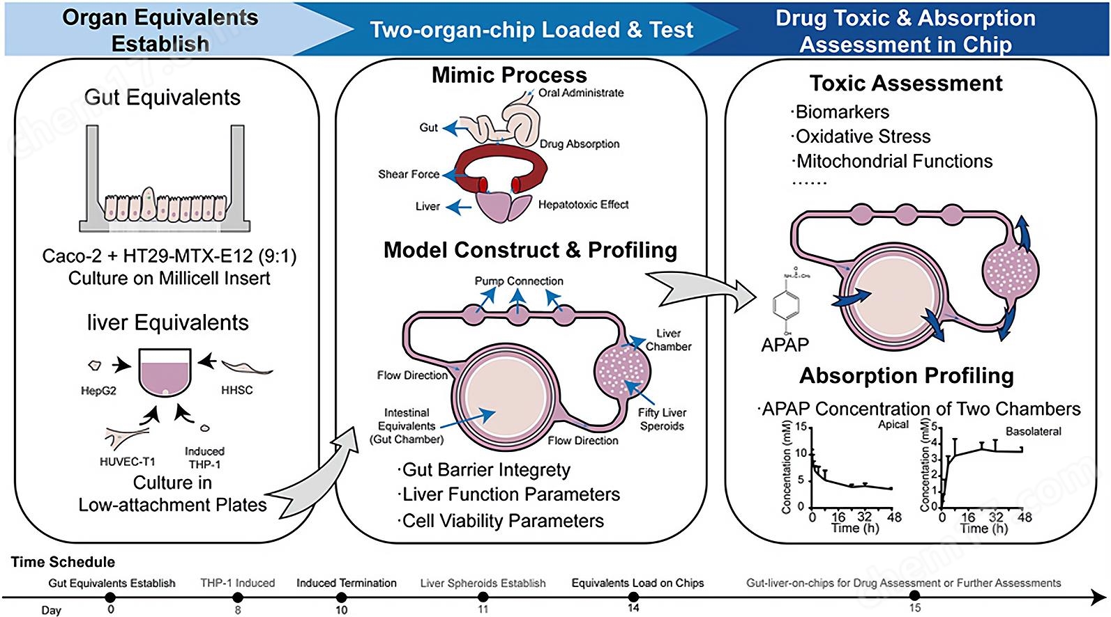 類器官芯片培養系統