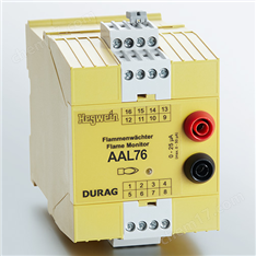 進(jìn)口代理HEGWEIN火焰?zhèn)鞲衅鼽c(diǎn)火裝置