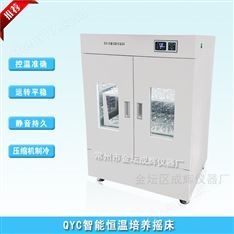 立式雙層振蕩培養箱