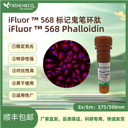 iFluor 568標(biāo)記鬼筆環(huán)肽 細(xì)胞骨架染色
