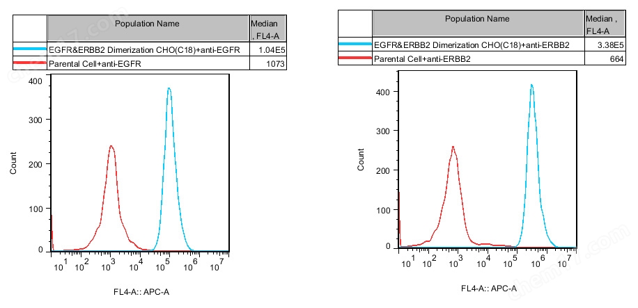 流式-74476.jpg EGFR & ERBB2 Dimerization CHO