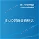 BioID鄰近蛋白標記檢測技術服務