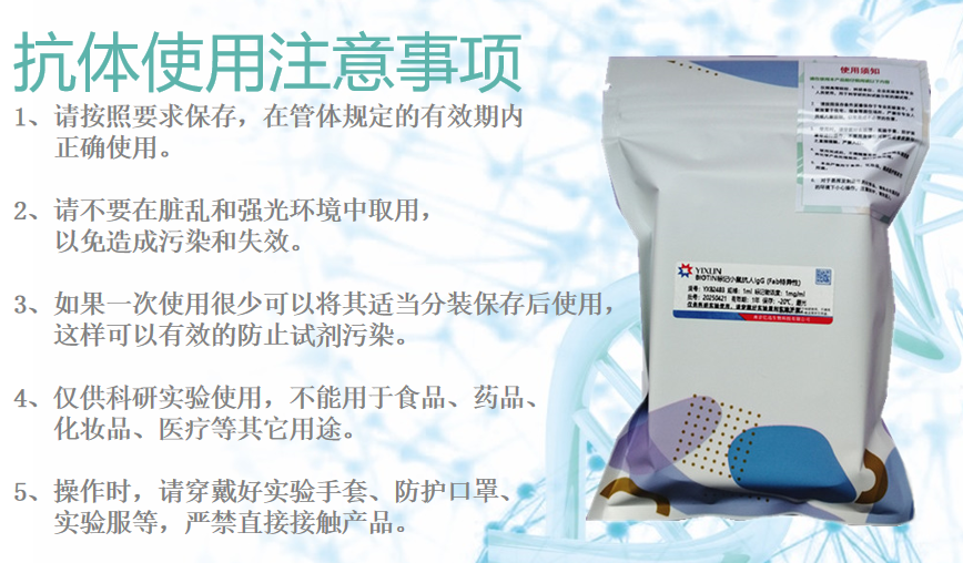 小鼠抗鸡IgY 蛋白浓度是多少呢？