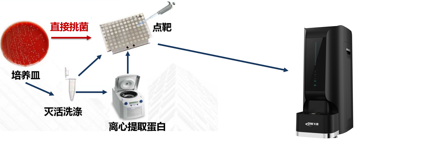圖片1(3).png