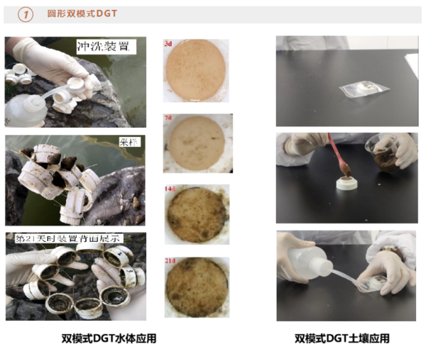 微域視角下的活性監(jiān)測：薄膜擴散梯度技術(shù)助力土壤精準管控與可持續(xù)發(fā)展