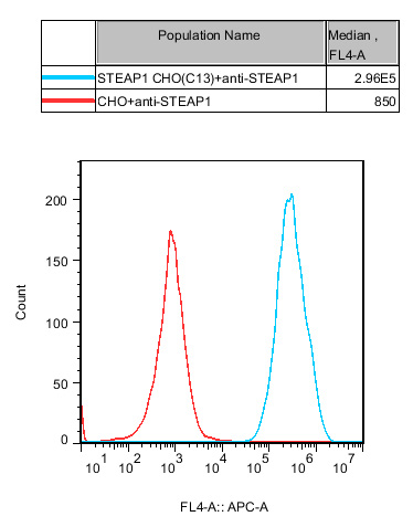 CBP74283.jpg