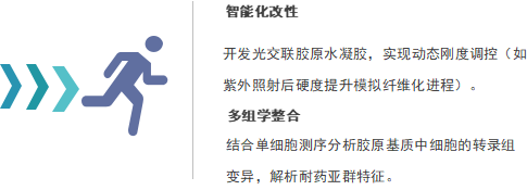 Ⅰ型鼠尾膠原應(yīng)用場景（四）——病理機制