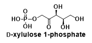 D-xylulose 1-phosphate（cas：63323-91-1）的介紹