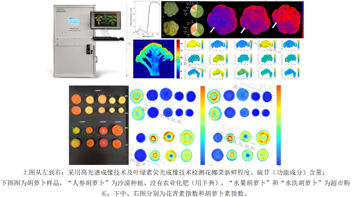 易科泰亮相2025農(nóng)產(chǎn)品貯藏加工科技交流大會，斬獲技術(shù)創(chuàng)新獎載譽而歸