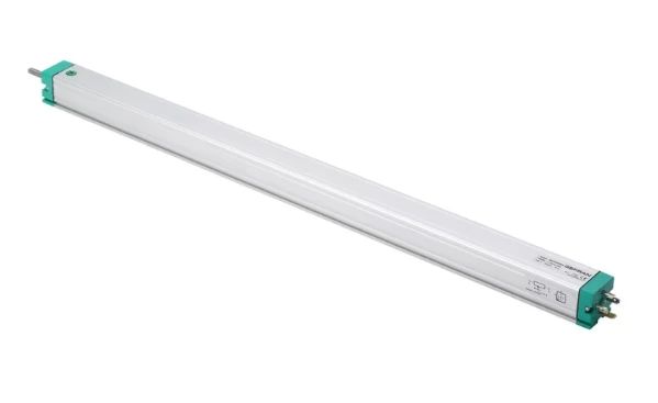 杰佛倫1.jpg 杰佛倫1.jpg